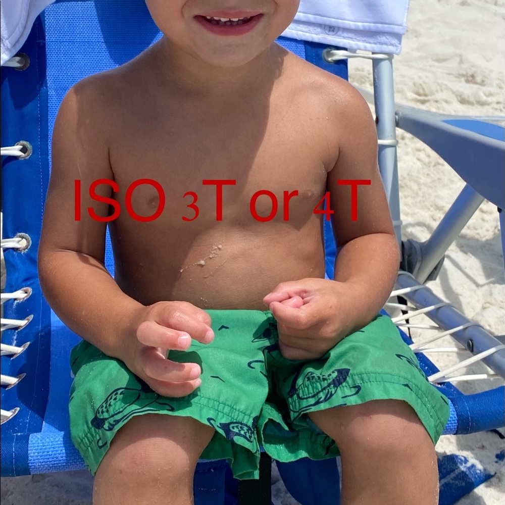 DO NOT BUY! I AM LOOKING FOR THESE SWIM TRUNKS!